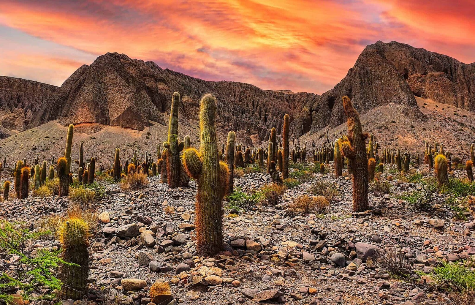 Oky Rj Salta Retiros Espirituales en Salta y Jujuy | El Silencio del Norte